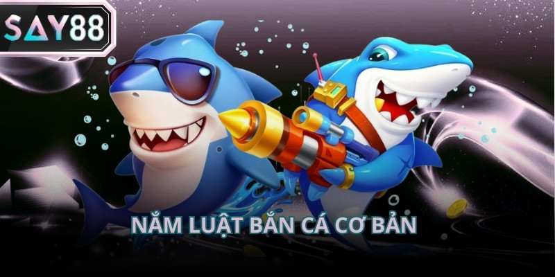 Kinh nghiệm bắn cá và nắm bắt luật cơ bản cho người mới tham gia