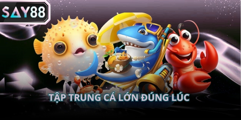 Dồn đạn đúng lúc giúp tăng tỷ lệ kết liễu và tránh tình trạng lãng phí xu