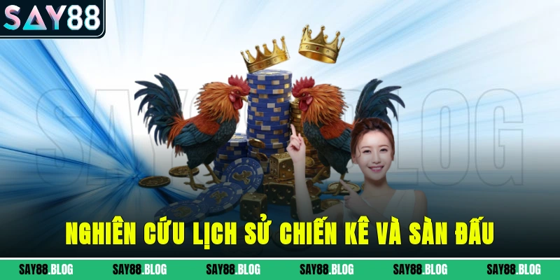 Nghiên cứu lịch sử chiến kê và sàn đấu